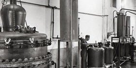 Maraschino liqueur: Luxardo factory, Zara, distillery (crt-01)