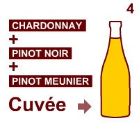 Champagne: La cuvée. Champagne: La cuvée.