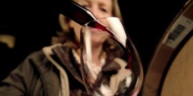 Wine Masters: L'Arte del Vino (crt-01)