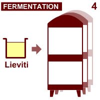 Prosecco wine: The ‘fermentation’.