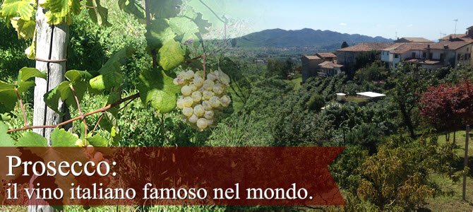 Vino Prosecco: il vino italiano famoso nel mondo.