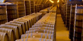 Marsala wine: Florio cellars (crt-01)