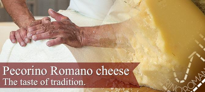 Pecorino Romano cheese, the taste of tradition (crt-01)