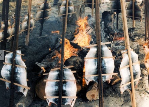 Native American Food: Grilled salmon, Neah Bay (crt-01)