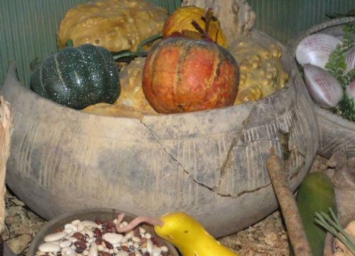 Native American Food: Pumpkins, Indian Temple Mound Museum (crt-01)