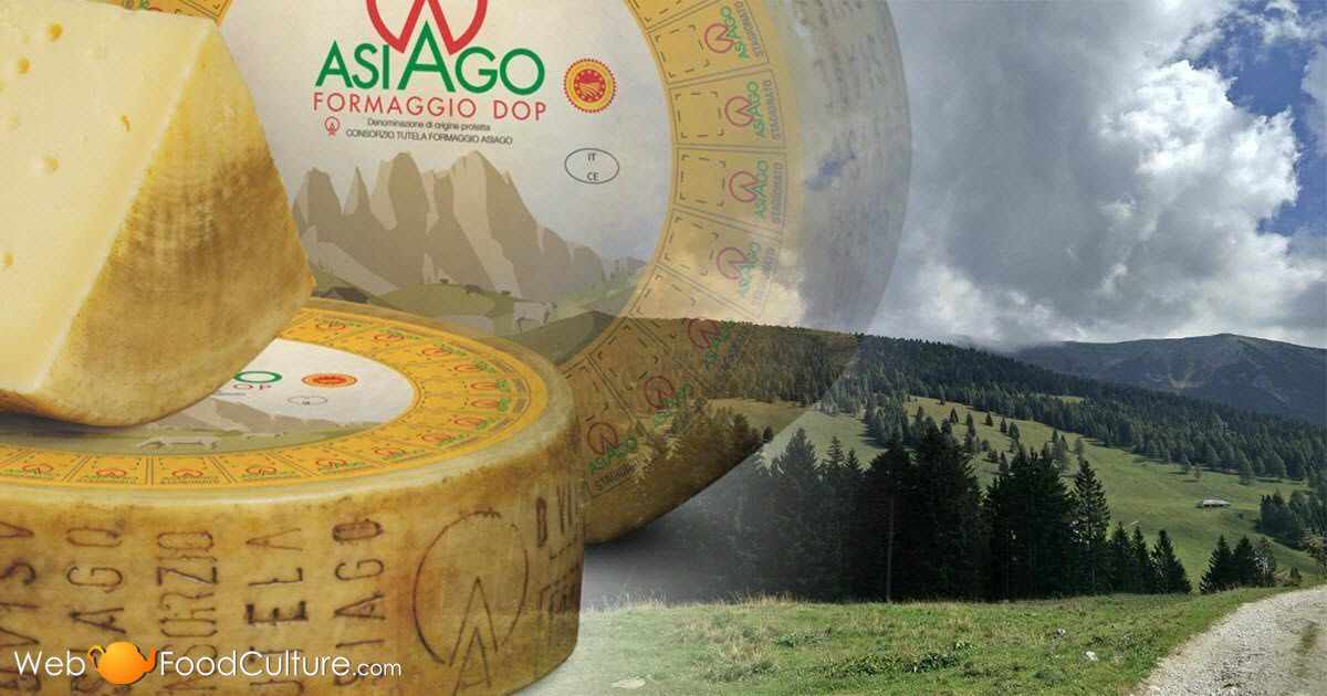 Asiago Cheese History, Information, Interesting Facts FoodCulture