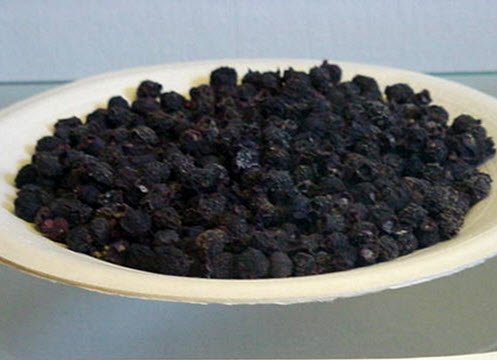 Native American Food: Dried June Berries (crt-01)