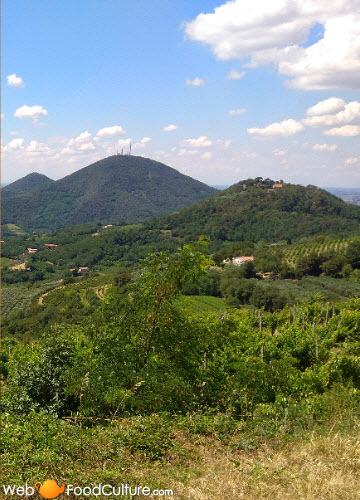 Food and wine specialties from the Euganean Hills: Colli Euganei, view 03.