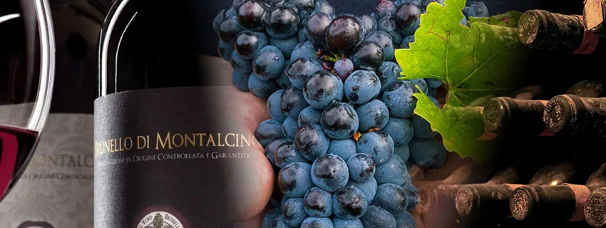 brunello of montalcino