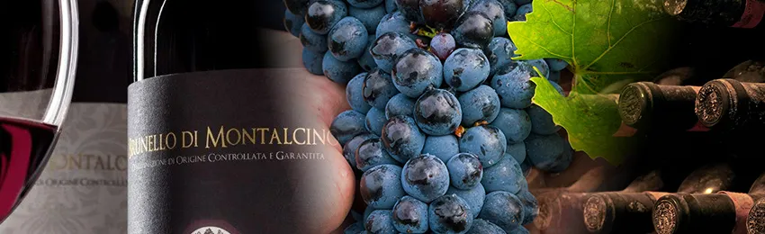 brunello of montalcino