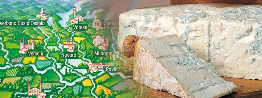 Gorgonzola Cheese: History, Info, Interesting Facts