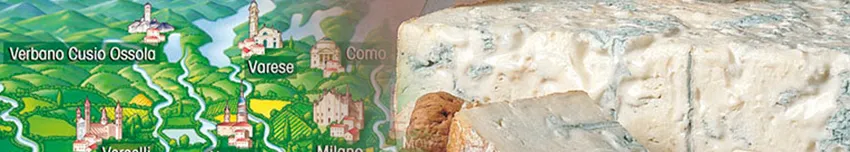 Gorgonzola: Storia, Informazioni, Curiosità