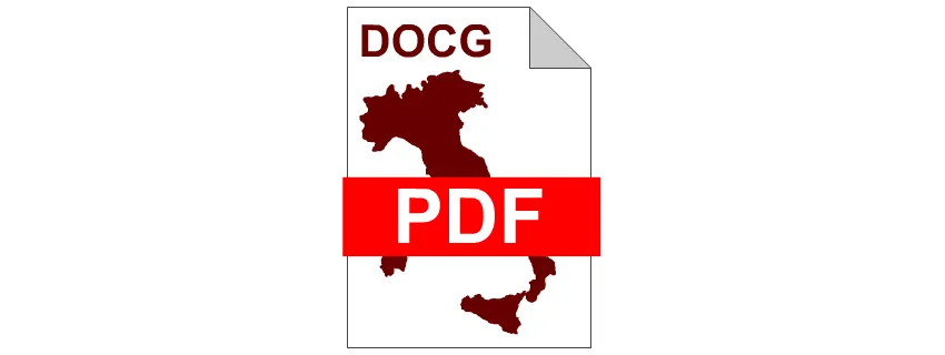 Italian DOCG Wines: complete, updated and printable list in PDF format.