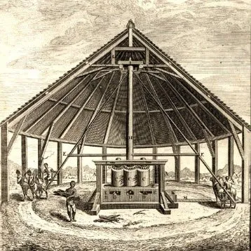 Venetian Frittelle: mill.