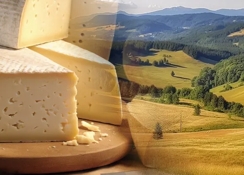 Formaggio Asiago: Storia, Informazioni, Curiosità