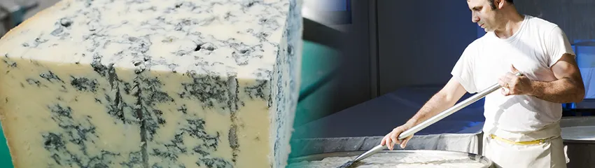 What is Gorgonzola cheese: Definition and Meaning - La Cucina Italiana