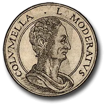 Colummella e l'Aceto Balsamico.