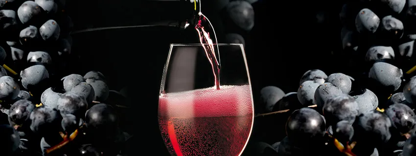 Lambrusco Wine: History, Information, Interesting Facts