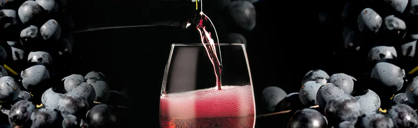 Lambrusco: Storia, Informazioni, Curiosità