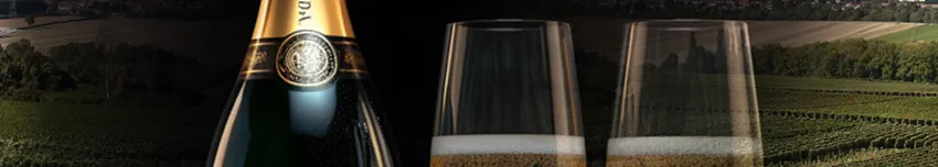 Champagne Wine: History, Info, Interesting Facts