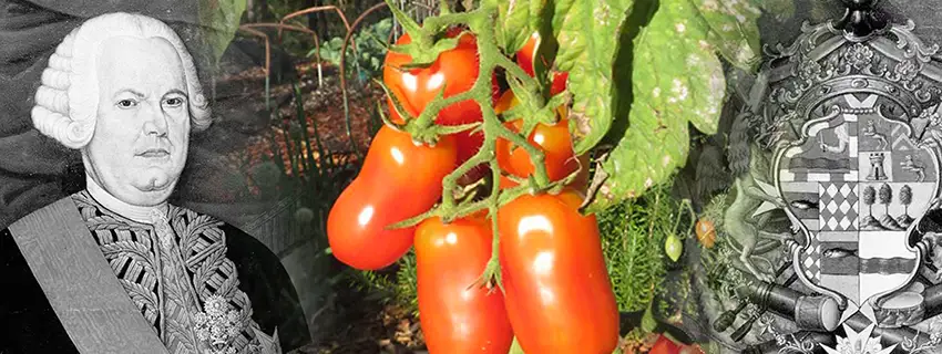 The history of San Marzano Tomato.