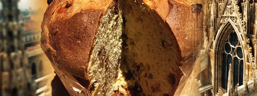 Panettone Bread: the Complete Guide.