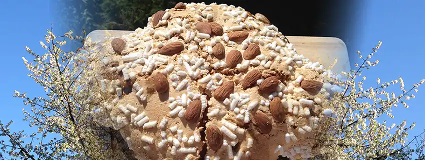 Colomba cake.
