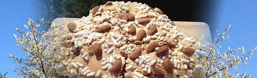 Colomba cake.